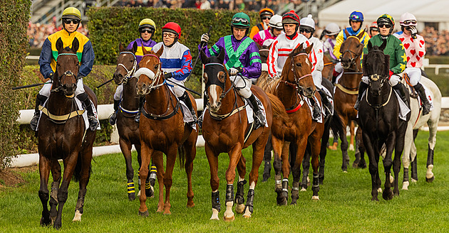 Pivo nebylo to hlavní. Diváků přes dva miliony. Dozvuky Velké pardubické
