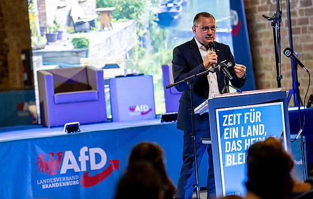 AfD se chová jako německá Putinova strana, prohlásil spolkový ministr vnitra