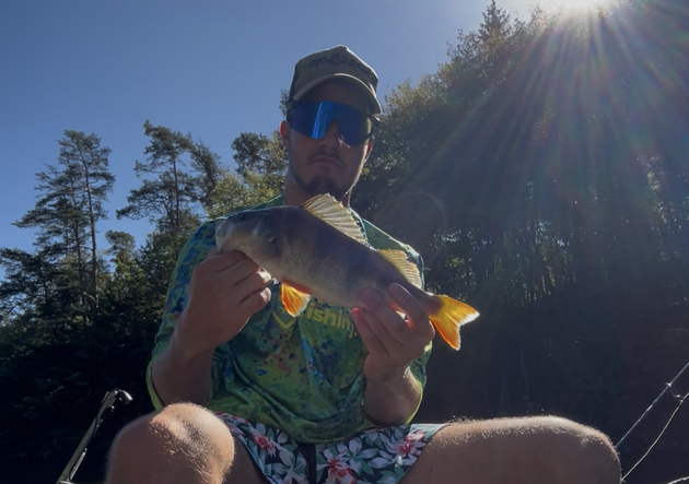 Ztracený obr a triumfální úlovek. Kouzlo lovu okounů, které přebíjí i sumce