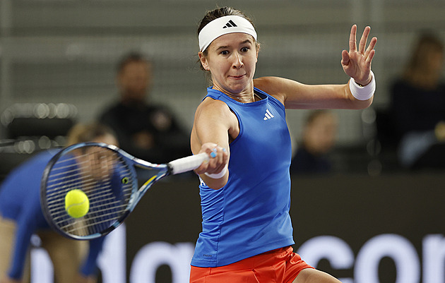 Tenis ONLINE: Pálova rozlučka, Češky hrají s Chorvatkami o setrvání mezi elitou