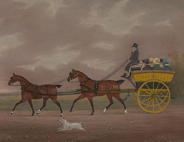 Gentlemanem snadno a rychle. Rodina nabízí za výchovu ročního syna miliony