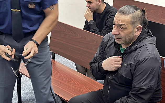 Přeseknuté žebro, poraněná játra. Za útok mačetou soud vyměřil deset let