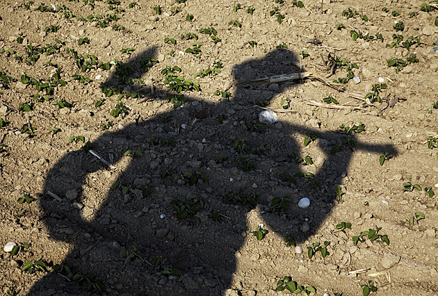 Čech zažaloval o odškodné rakouského sedláka, kterému předtím ukradl auto