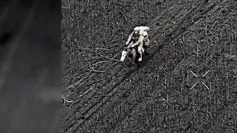 Rusové se hnali na zteč na koních. Záběry ukazují marný úprk jezdce před dronem