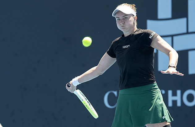 Macháč, Vondroušová a Valentová postupují, Krejčíkovou trápí koleno