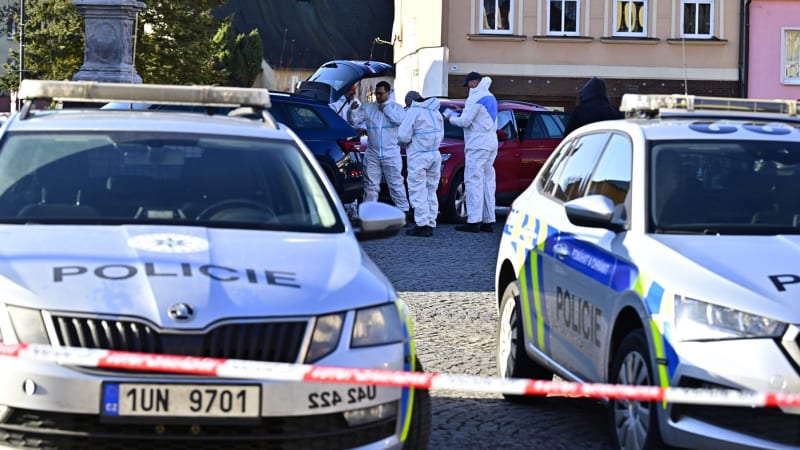Tragédie v Chřibské: Policie hovoří o zvlášť závažném zločinu vraždy. Muž držel zbraň nelegálně