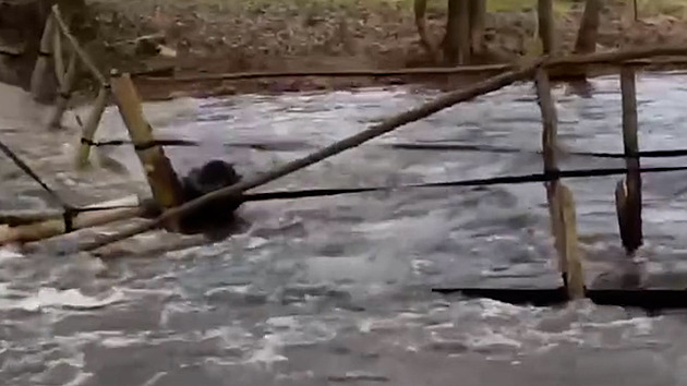 Muž natočil, jak rozvodněná řeka strhla lávku, která zkracuje místním cestu na pivo