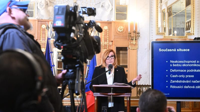 Schillerová hrozí kontrolami šedé ekonomiky. Kdo se má bát a kdy je ve hře i vězení?