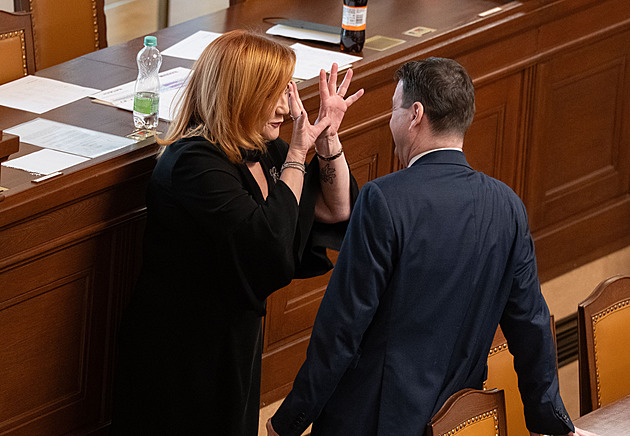 Poslanci rozhodují o letošním rozpočtu. Stovky milionů korun přidají sportu