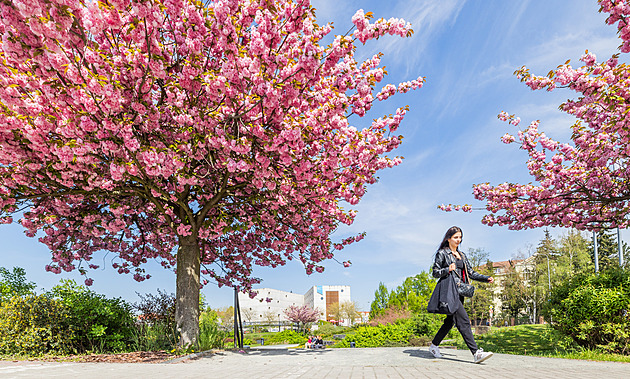 Tři dny skoro léto a pak změna. Může začít sněžit, varují meteorologové