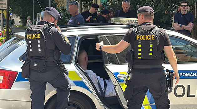 Zdrogovaný řidič naboural auta, pak se vrhl na odpočívajícího psa. Ten jeho řádění utnul