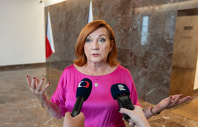 Babiš se Schillerovou obhajovali návrh schodku rozpočtu před poslanci SPD