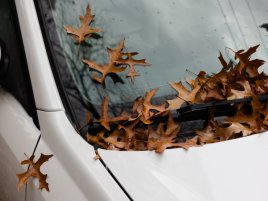 Proč se na podzim mlží okna v autě? Tohle nastavení klimatizace je vyčistí