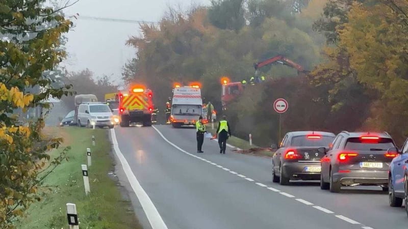 Vážná nehoda u Zlonína: Řidič tam srazil dva koně, v místě se tvoří kolony