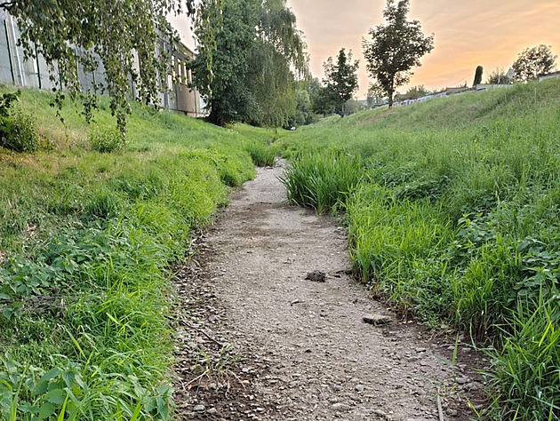 Studny zůstaly po suchém létě bez vody, chyběl i sníh. Obnova může trvat měsíce