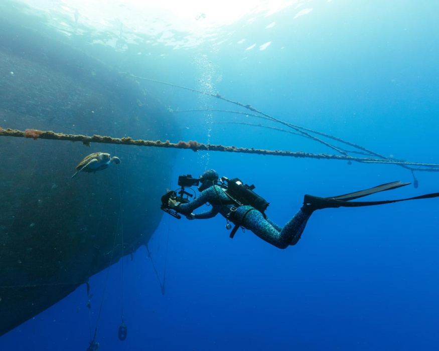 Kalné záběry jako důkaz pravosti? BBC se u dokumentu Blue Planet III brání podezření z AI