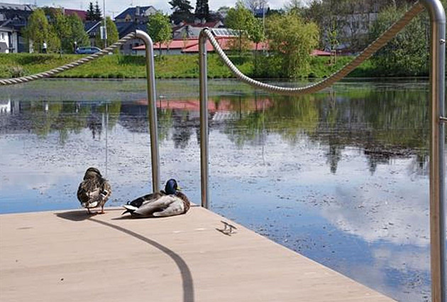 Bruntál odbahní rybník pomocí speciálních bakterií, je to levnější než těžba